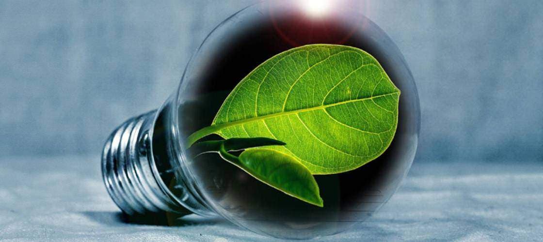 O que é autoconsumo remoto de energia?